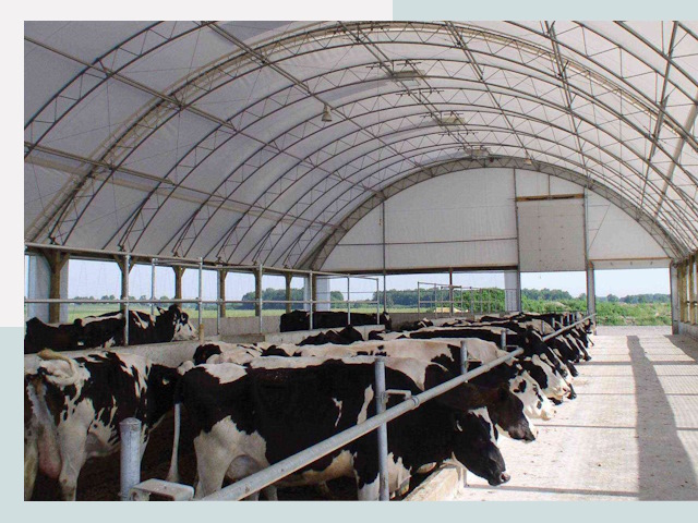 Тентовые коровники в Кореновске